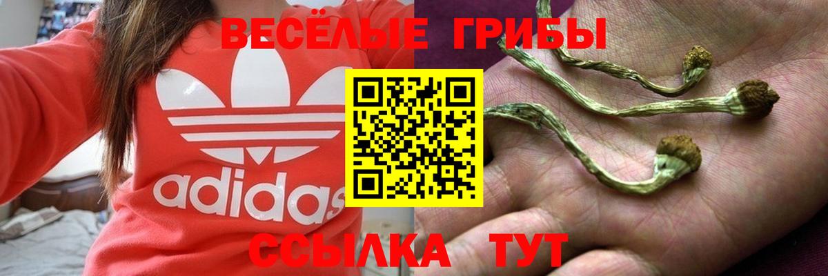 Псилоцибиновые грибы мицелий  Псилоцибиновые грибы GOLDEN TEACHER  Вход с VPN  Воронеж 
